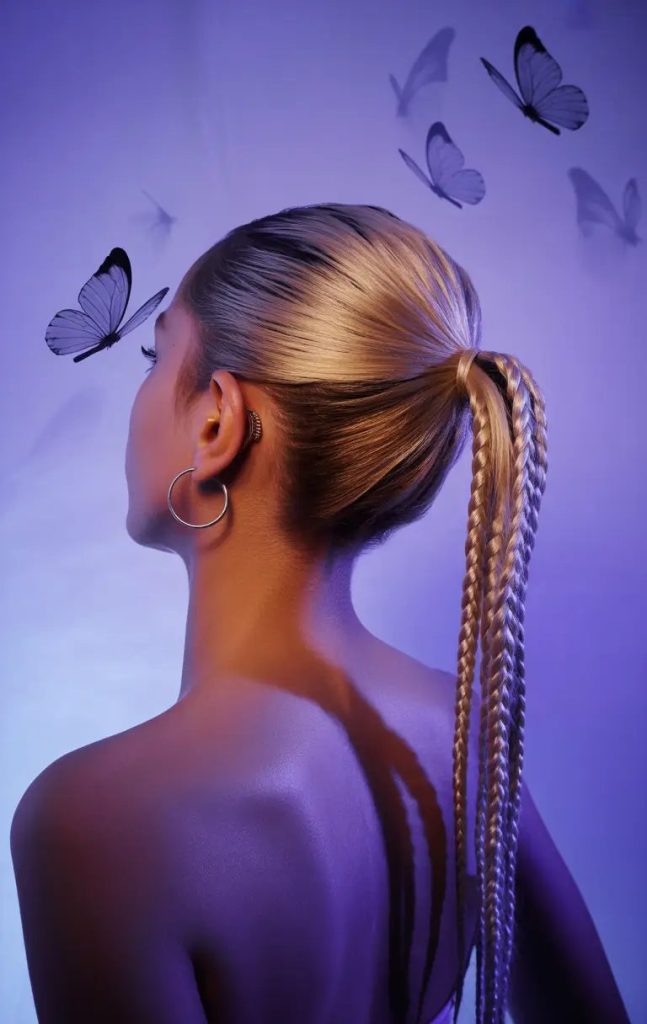 Sleek Braided Ponytail With a Twist
